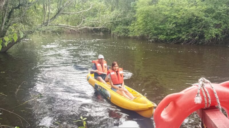 Visitantes a la Reserva Guaycolec este domingo disfrutaron de paseos en kayak