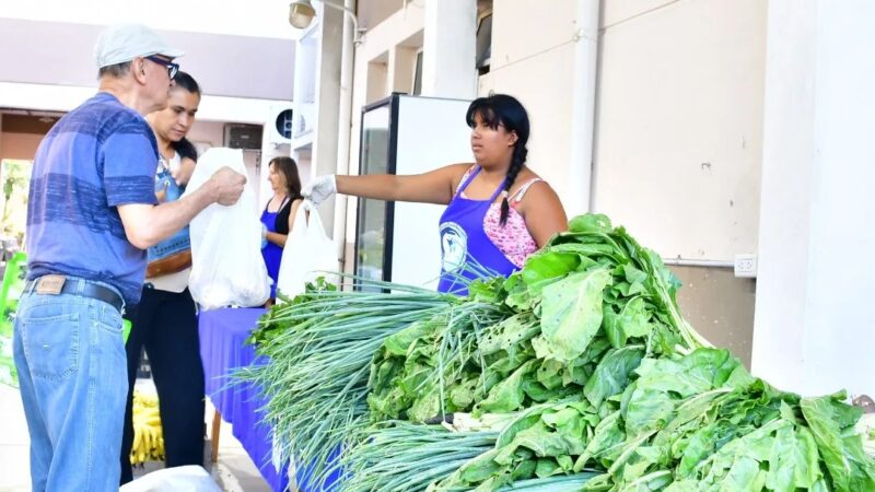 La producción paippera se destacó en las ferias capitalinas