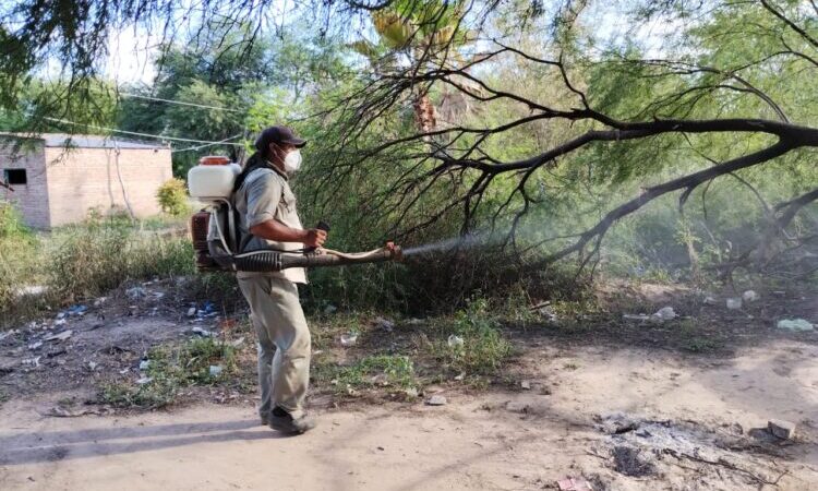 Acciones contra el dengue en la comunidad aborigen Ensanche Norte