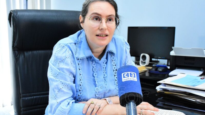 Energía eléctrica: “La Resolución 7/24 es una norma nacional donde la provincia de Formosa no tiene injerencia”