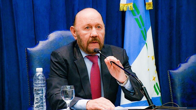 Insfrán: “A este Gobernador no lo disciplina nadie”