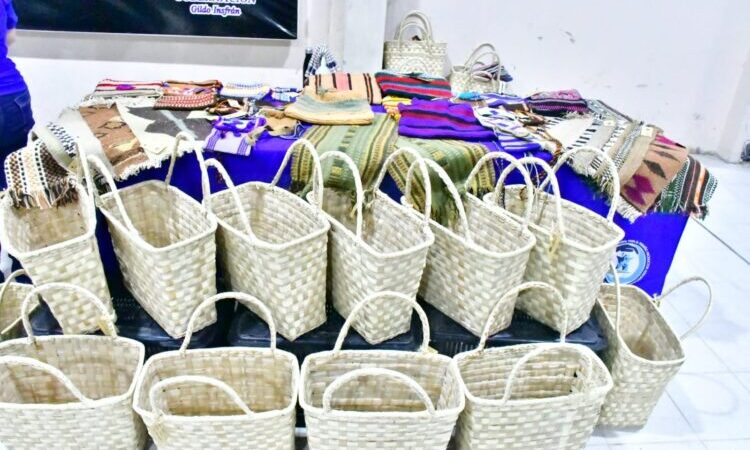 Las ferias del PAIPPA sumaron artesanías formoseñas a sus ventas