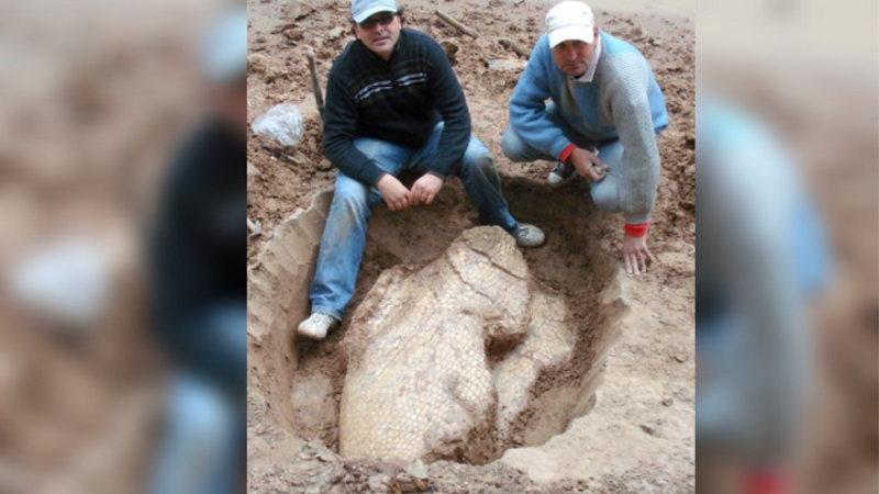 Se cumplen 20 años del hallazgo de fósil de gliptodonte en las barrancas del Bermejo