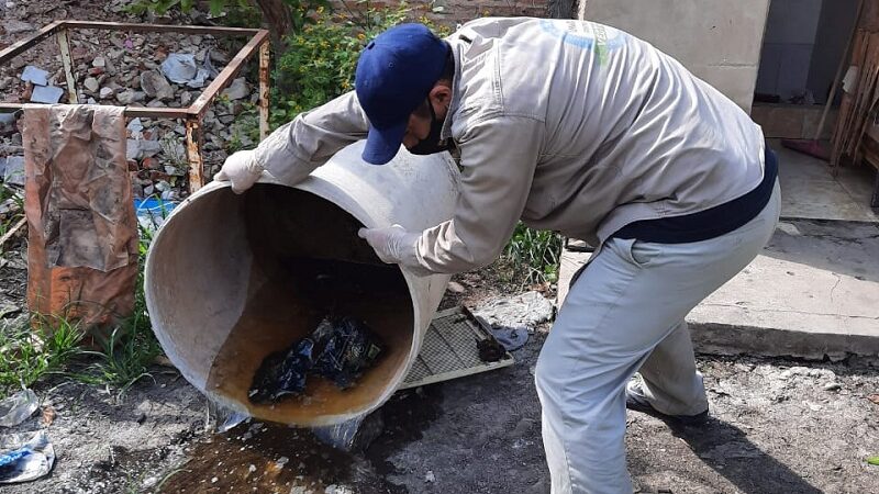 Por 12 semanas consecutivas sigue sostenido el descenso de los casos de dengue en la provincia