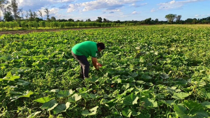 MPyA realizó monitoreo de producción diversificada en Pirané