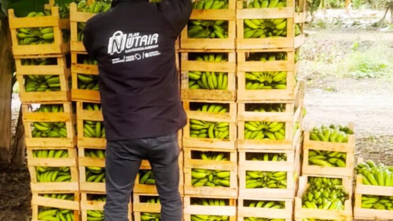Compra directa a productores aborígenes de colonia La Primavera para el Plan Nutrir