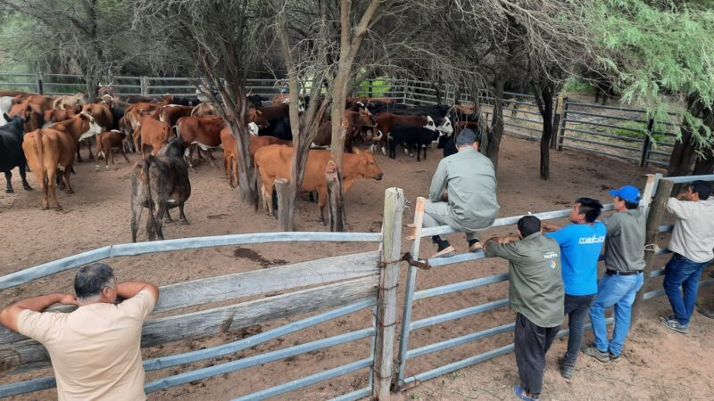 El PAIPPA realizó relevamiento a productores del oeste formoseño