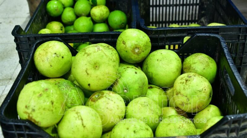 Exitosa feria paippera por el Día del Trabajador