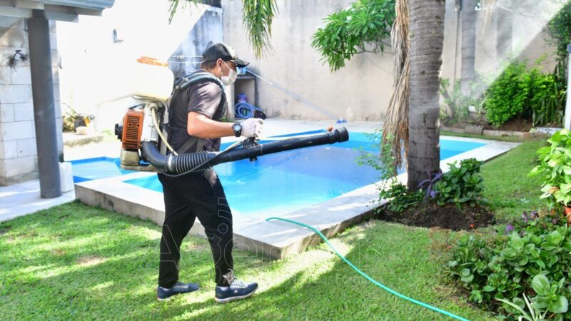 Formosa trabaja de manera continua en la lucha contra el dengue