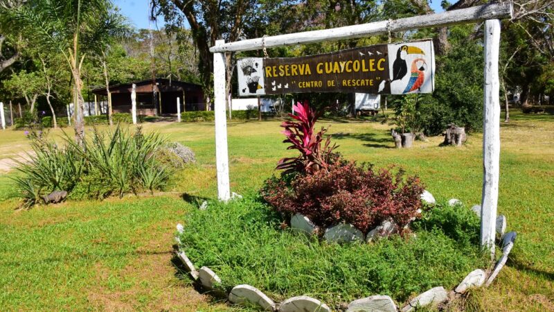 La Reserva Guaycolec reabre sus puertas este sábado 15