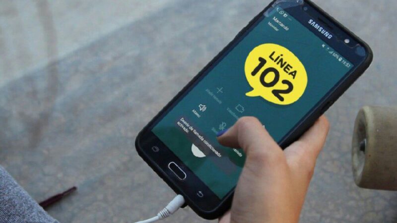 ¿Cómo y para qué funciona la Línea 102?