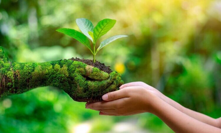 Por el Día Mundial del Medio Ambiente realizarán jornada de concientización en el Bañado La Estrella