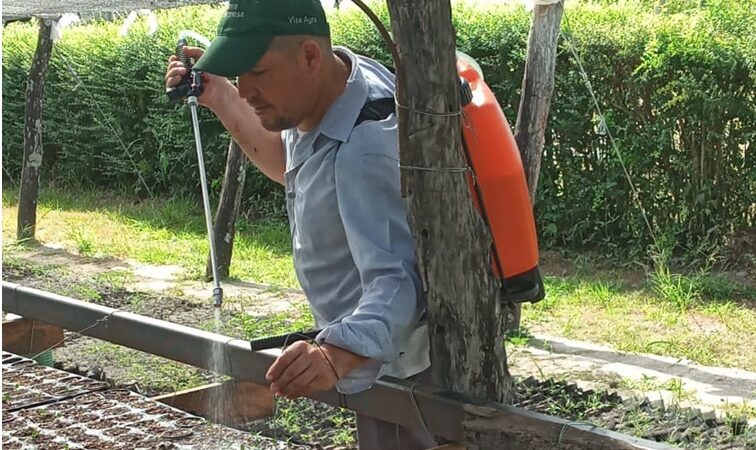 El Vivero Forestal Provincial abastece al territorio con diversas producciones arbóreas