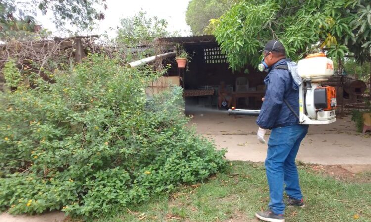 En coincidencia con el período de días fríos, los casos de dengue sostienen el descenso en todo el territorio