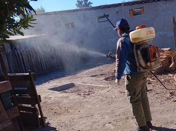 Pirané: Siguen las acciones contra el dengue en los barrios