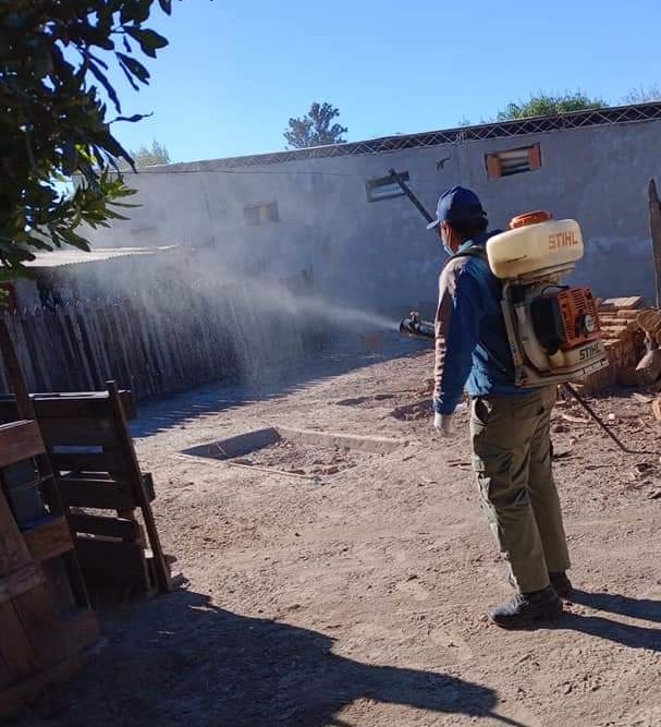 Pirané: Siguen las acciones contra el dengue en los barrios