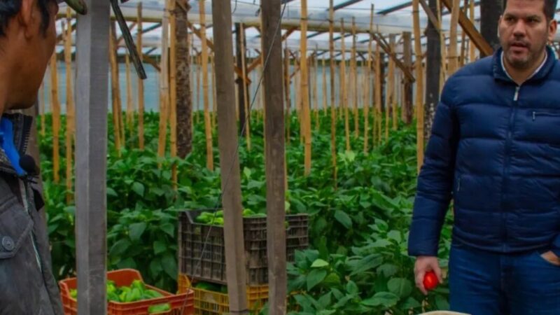 Desde el Ministerio de la Producción coordinan acciones para hacer frente a las bajas temperaturas
