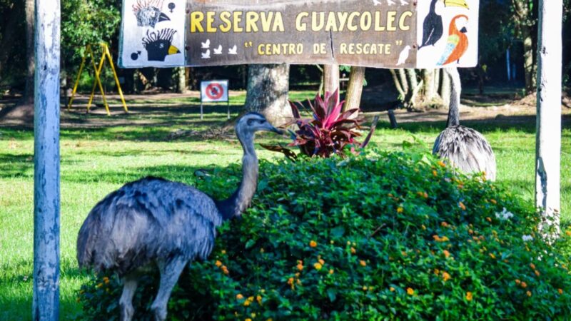 Guaycolec abrirá los viernes, sábados, domingos y feriados durante las vacaciones de invierno