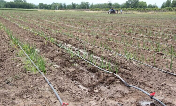 El Ministerio de la Producción participará de una expo nacional sobre agua en Mendoza