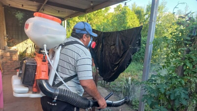Dengue: Por segunda semana consecutiva los casos se mantuvieron sin variación