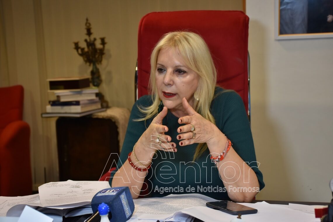 “Tenemos todos los argumentos jurídicos para responder a los planteos dentro del marco del derecho”, subrayó la fiscal de Estado