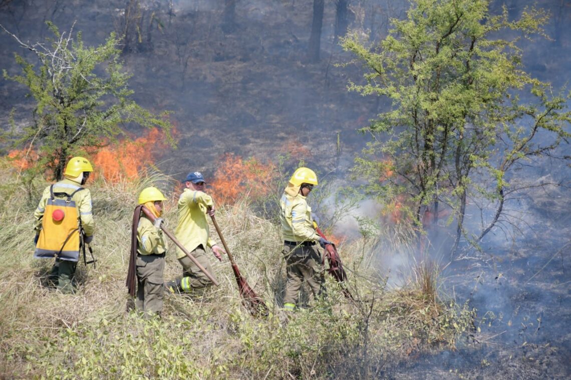Bomberos trabajaron durante cinco horas para sofocar incendio de pastizales