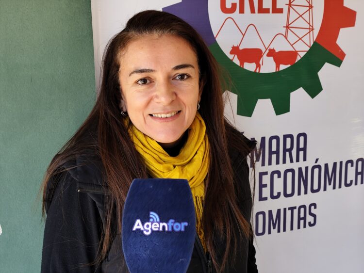 La Cámara Regional Económica de Las Lomitas trabaja en sumar nuevos socios