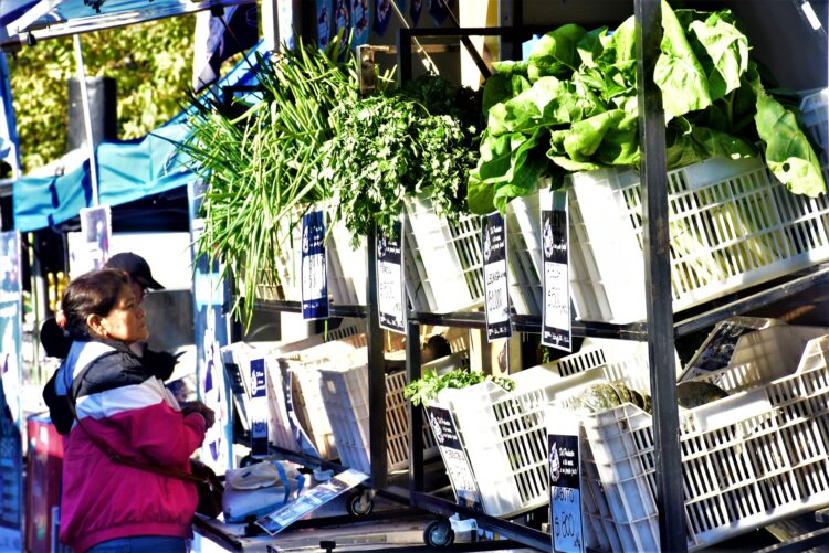 SAF beneficiará a vecinos del barrio Bernardino Rivadavia con la venta de alimentos a precios accesibles