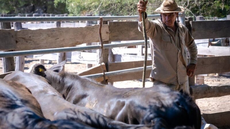 Desde el Ministerio de la Producción y Ambiente se apunta a reforzar el acompañamiento a los pequeños productores