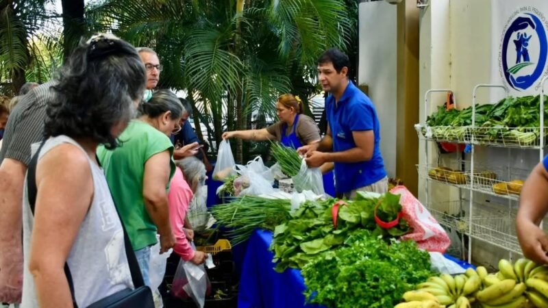 Con buenas ventas, se desplegaron tres ferias paipperas en Capital