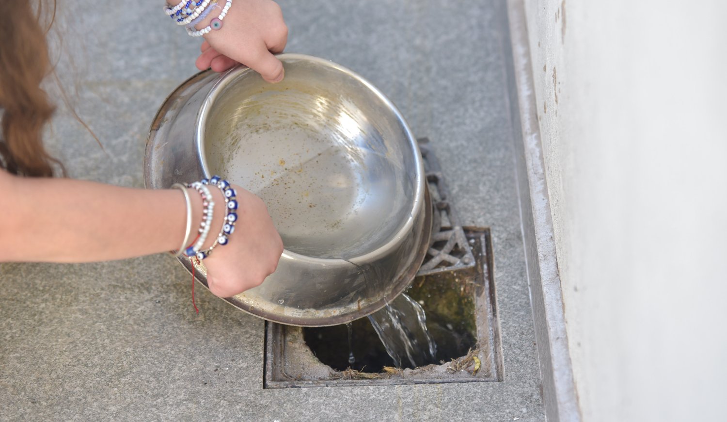 Dengue: Reiteraron recomendaciones ante el aumento de mosquitos tras las lluvias