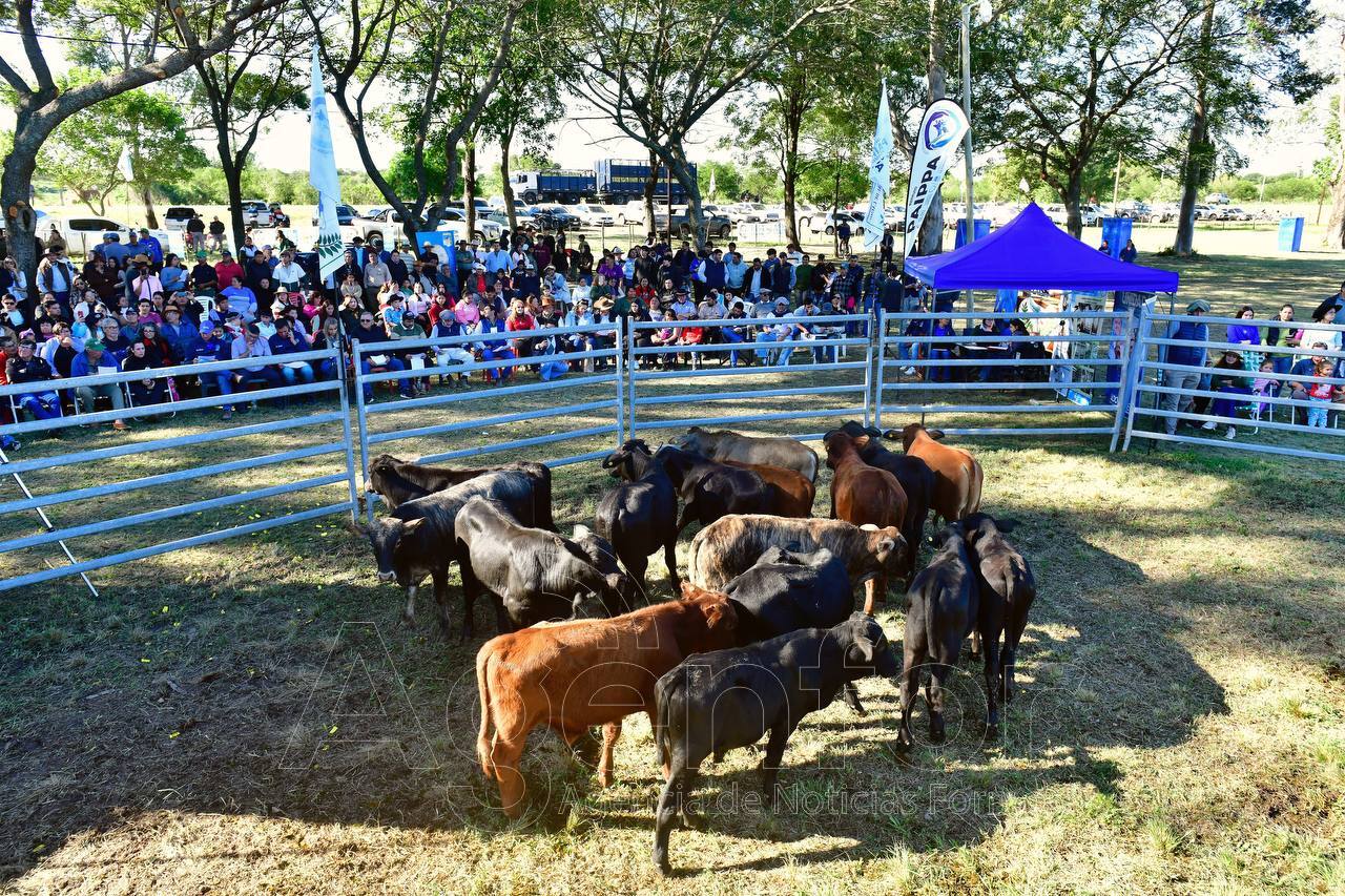 Exitosa Primera Feria Ganadera Paippera en Misión Laishí