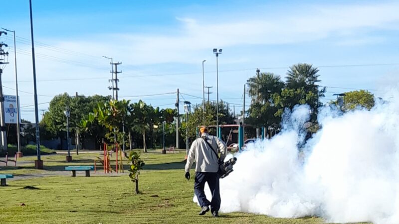 Refuerzan acciones contra el dengue en plazas de la ciudad Capital
