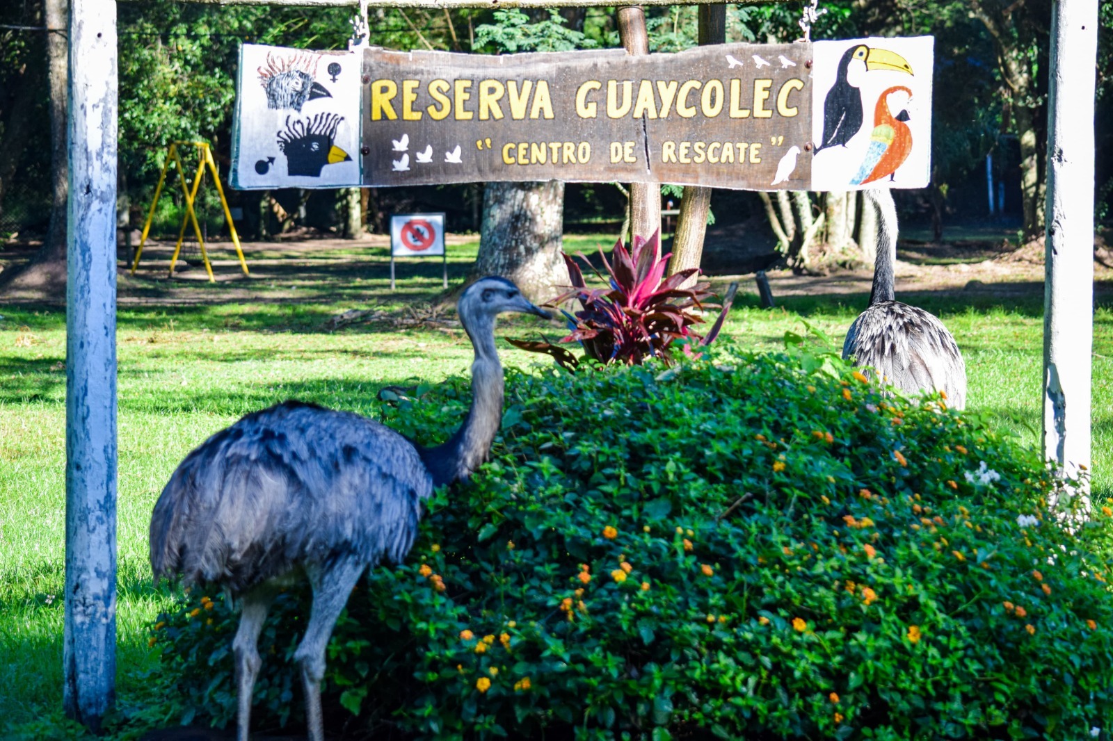 La Reserva Guaycolec abre sus puertas durante las vacaciones de invierno con entrada libre y gratuita