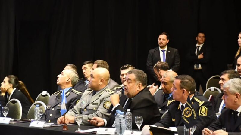 Formosa participó de la reunión del Consejo Regional de Seguridad Interior