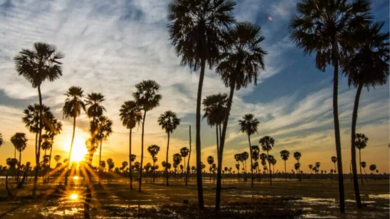 Formosa será sede de la Feria Regional de Turismo